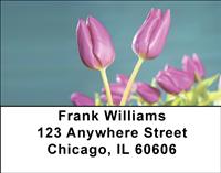Purple Tulips Address Labels
