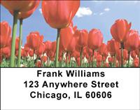 Red Tulips Address Labels