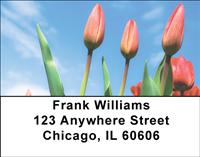 Red Tulips Address Labels