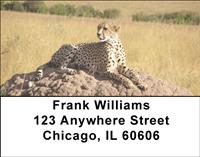 Alert Cheetahs Address Labels