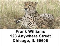 Alert Cheetahs Address Labels