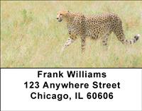 Alert Cheetahs Address Labels