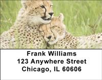 Cheetah Cubs Address Labels