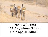 Cheetah Cubs Address Labels