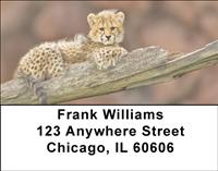 Sleek Cheetahs Address Labels