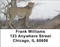 Sleek Cheetahs Address Labels