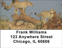Sleek Cheetahs Address Labels