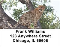 Sleek Cheetahs Address Labels