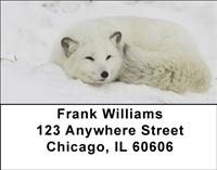 Arctic Foxes Address Labels