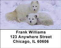 Arctic Foxes Address Labels