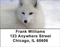 Arctic Foxes Address Labels