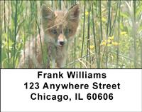 Red Fox Kits Address Labels