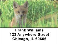 Red Fox Kits Address Labels