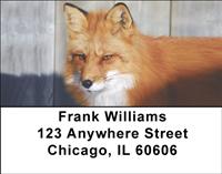 Wild Foxes Address Labels