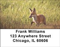 Wild Foxes Address Labels