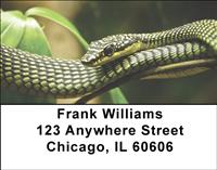 Tropical Snakes Address Labels
