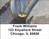 Tropical Snakes Address Labels
