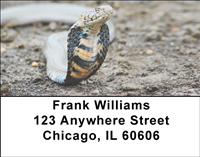 Cobras Address Labels