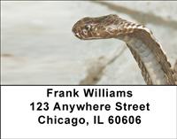 Cobras Address Labels