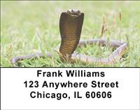 Cobras Address Labels