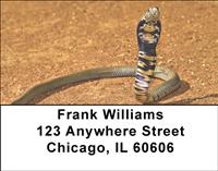 Cobras Address Labels