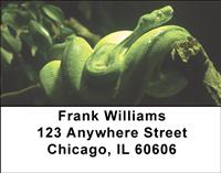 Green Snakes Address Labels