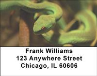 Green Snakes Address Labels