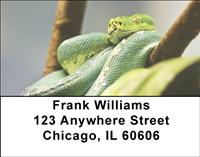 Green Snakes Address Labels
