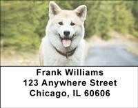 Regal Akitas Address Labels