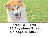 Regal Akitas Address Labels
