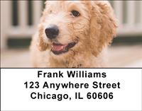 Labradoodles Address Labels