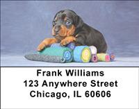 Min Pin Puppies Address Labels