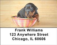 Min Pin Puppies Address Labels