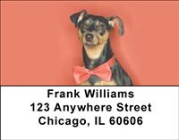 Miniature Pinschers Address Labels