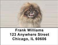 Cute Pekingese Address Labels