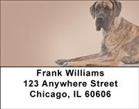 German Shorthaired Pointers Address Labels