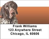 German Shorthaired Pointers Address Labels