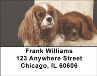 Pretty Cavalier King Charles Spaniels Address Labels