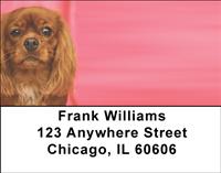 Pretty Cavalier King Charles Spaniels Address Labels