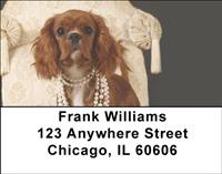Pretty Cavalier King Charles Spaniels Address Labels