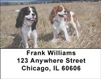 Cavalier Fun Address Labels