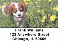 Cavalier Fun Address Labels