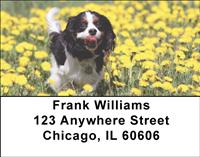 Cavalier Fun Address Labels