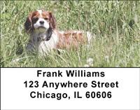Cavalier Fun Address Labels