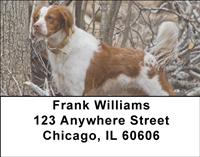 Fun Brittany Spaniels Address Labels