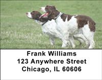 Fun Brittany Spaniels Address Labels