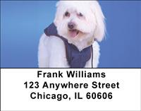 Pretty Havanese Address Labels