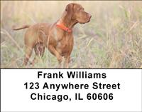Vizslas Outdoors Address Labels