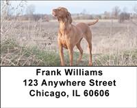 Vizslas Outdoors Address Labels