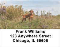 Vizslas Outdoors Address Labels